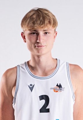 Portrait von Hendrik Metsa